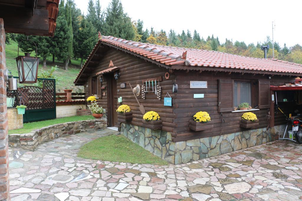 Traditional Guesthouse Tríkala Esterno foto